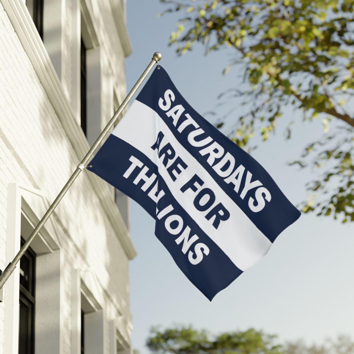 Saturdays Are For The Lions Flag