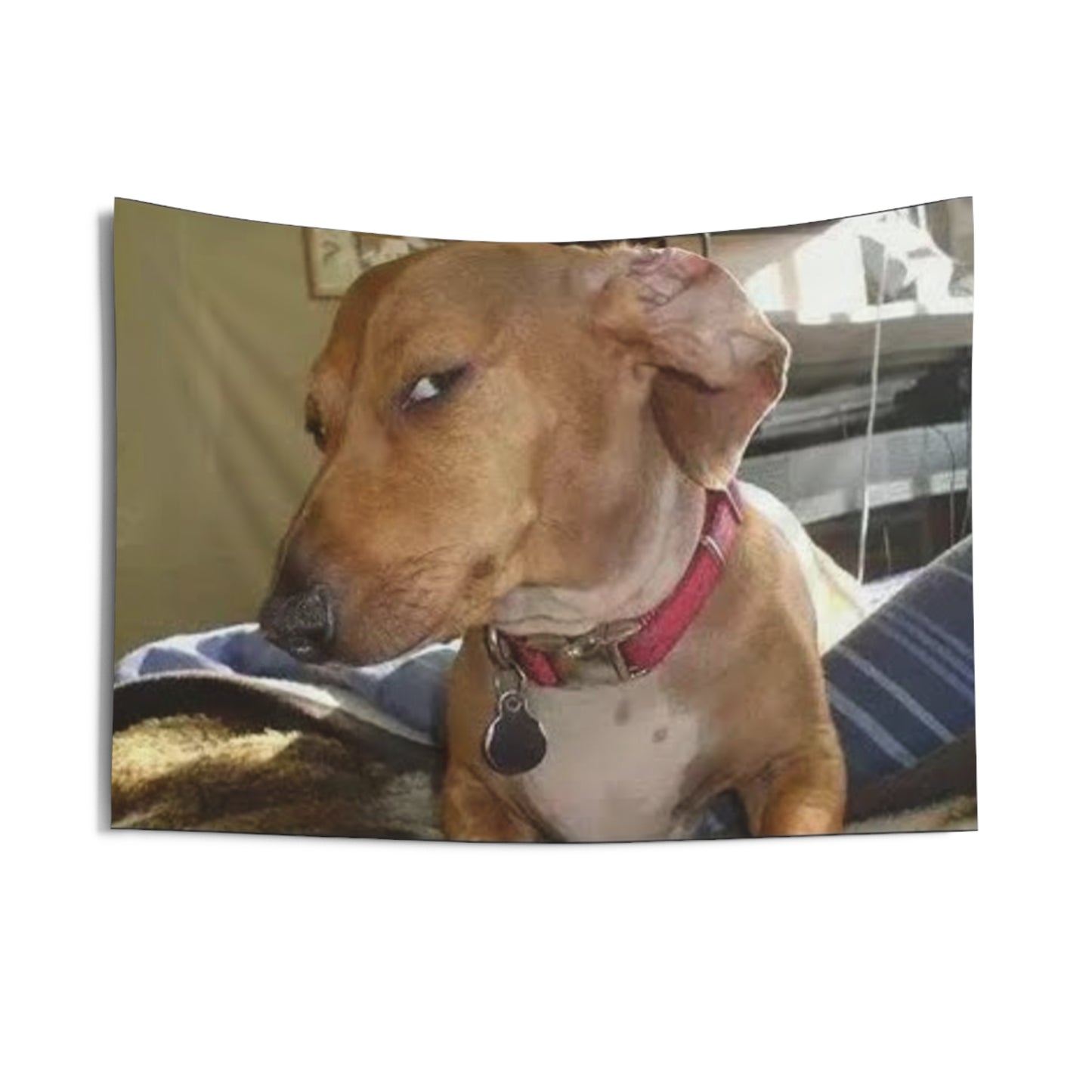 Side Eye Dog Flag