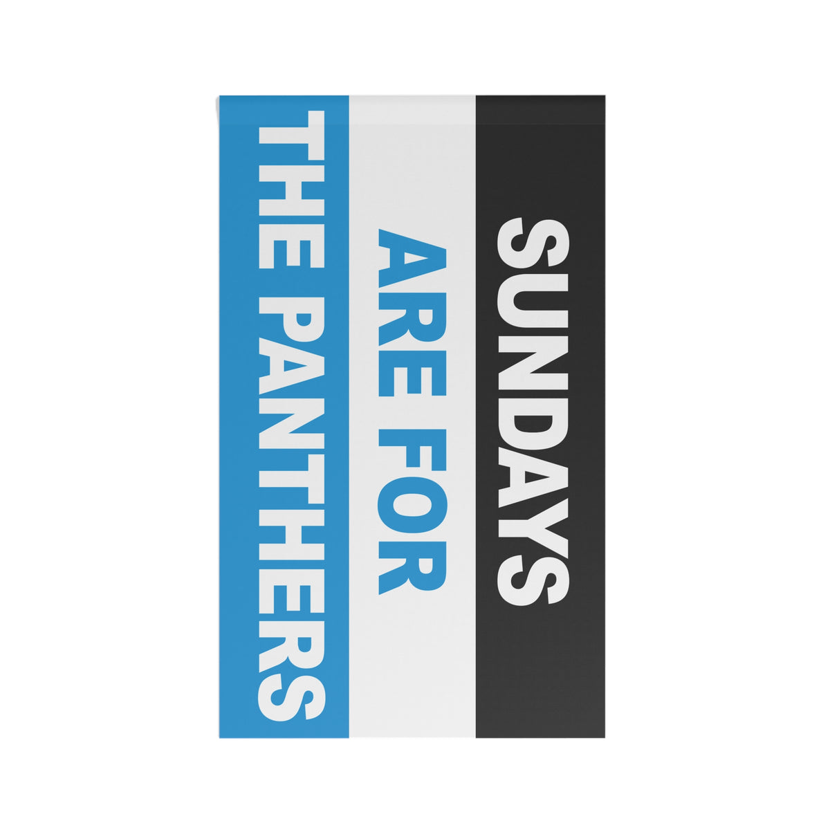 Sundays Are For The Panthers Flag