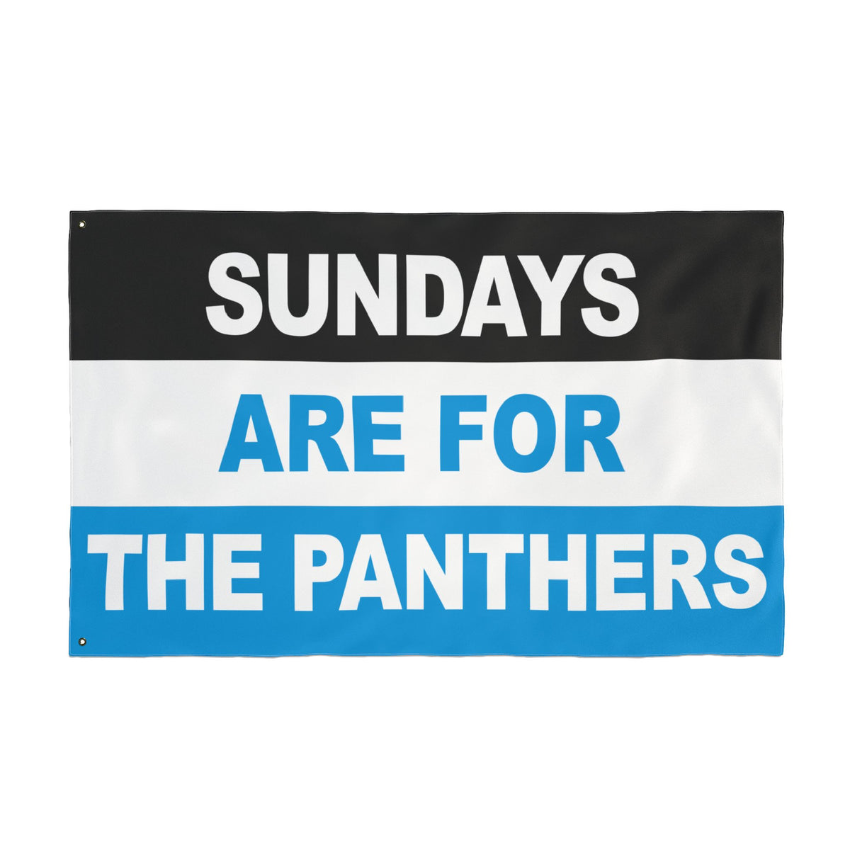 Sundays Are For The Panthers Flag